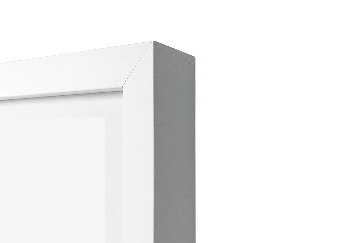 Tokyo Marathon Medal, Map & Bib Display Frame - The Original